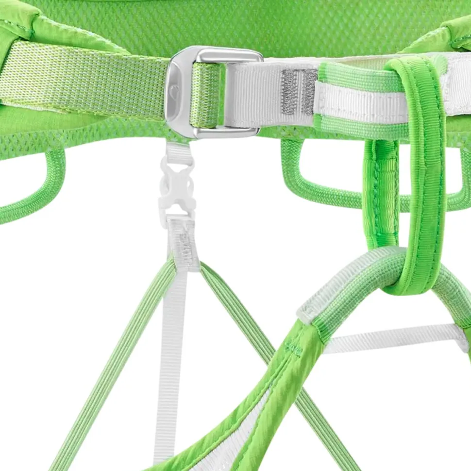 Ace Harness