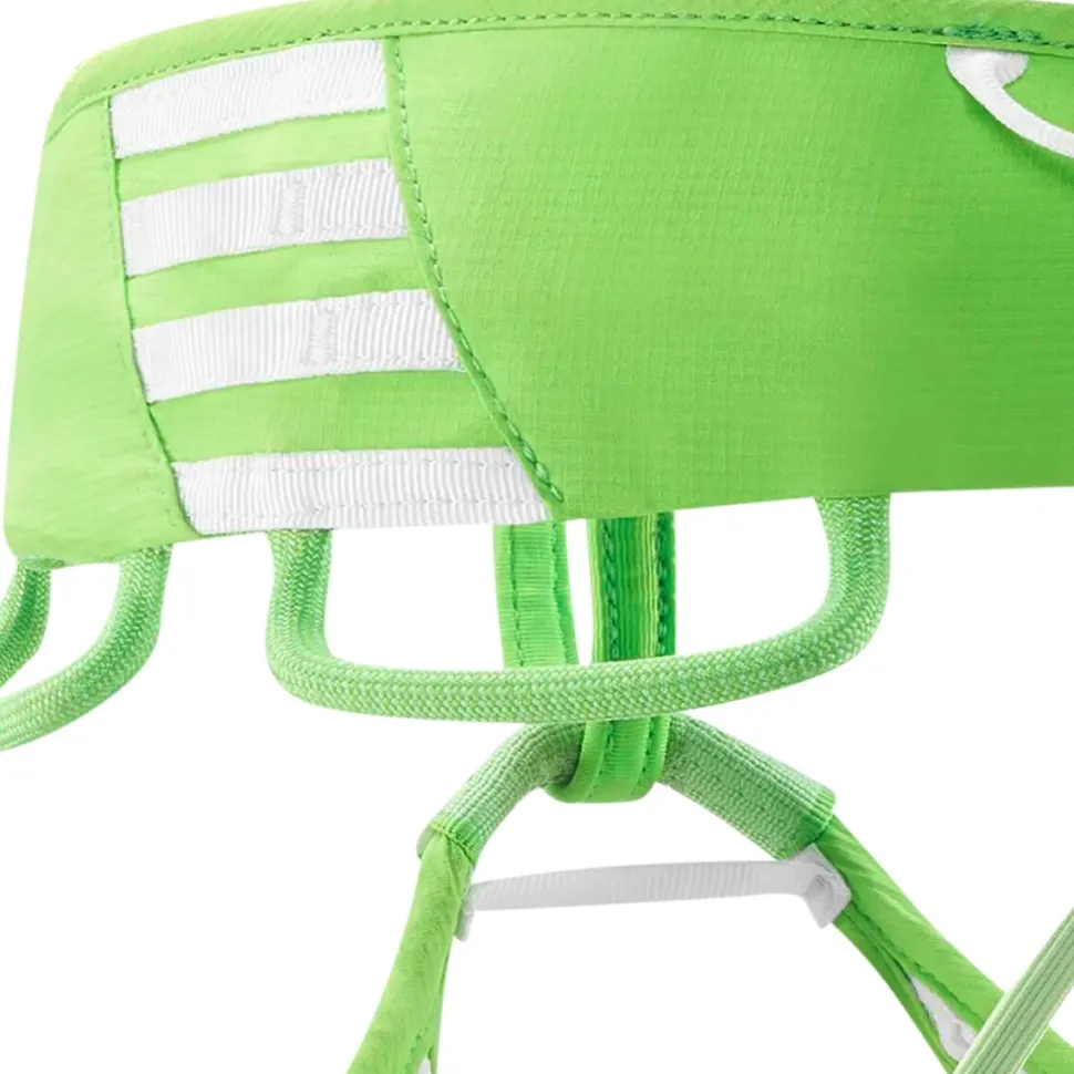 Ace Harness