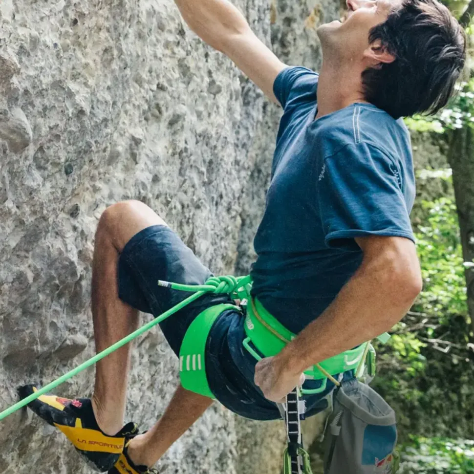 Ace Harness