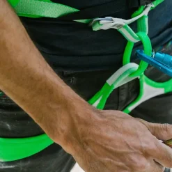 Ace Harness