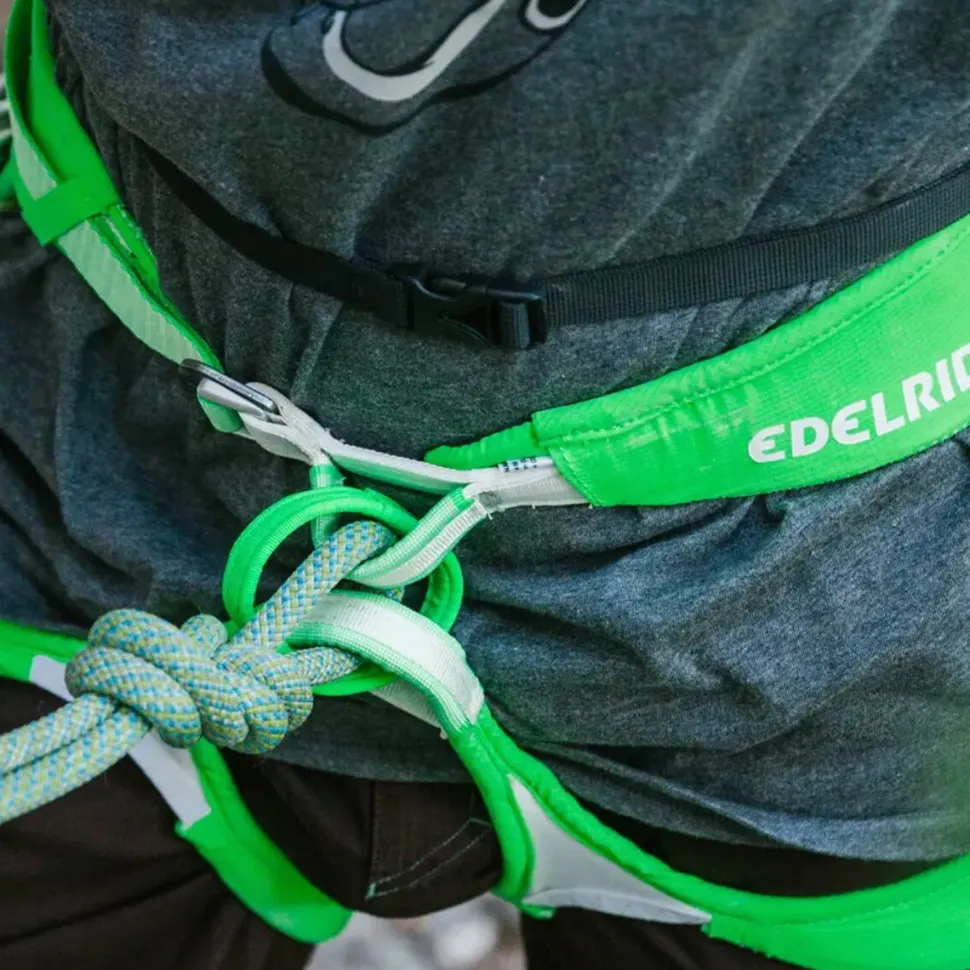 Ace Harness