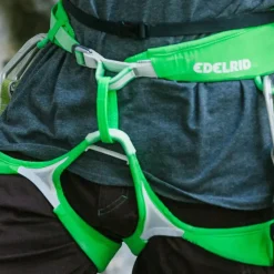 Ace Harness