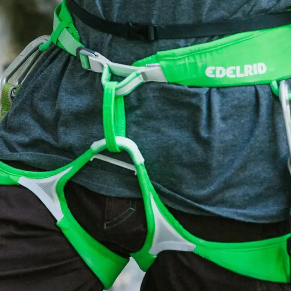 Ace Harness