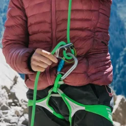 Ace Harness