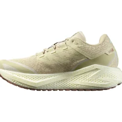 Aero Glide 3 Grvl Running Shoe - Men's