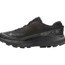 Agility Peak 5 BOA GORE-TEX Trail Running Shoe - Women's