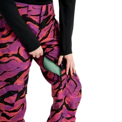 AK 2L Summit Pant - Women's