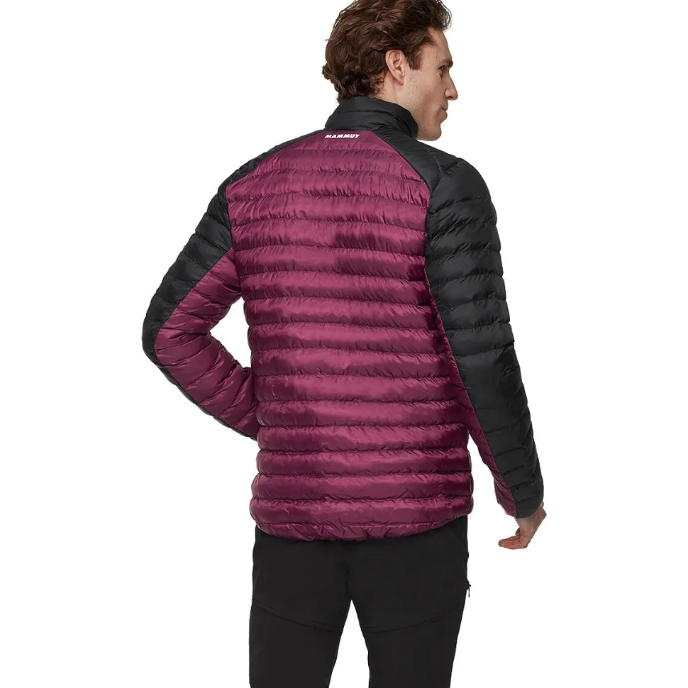Albula IN Jacket - Men's