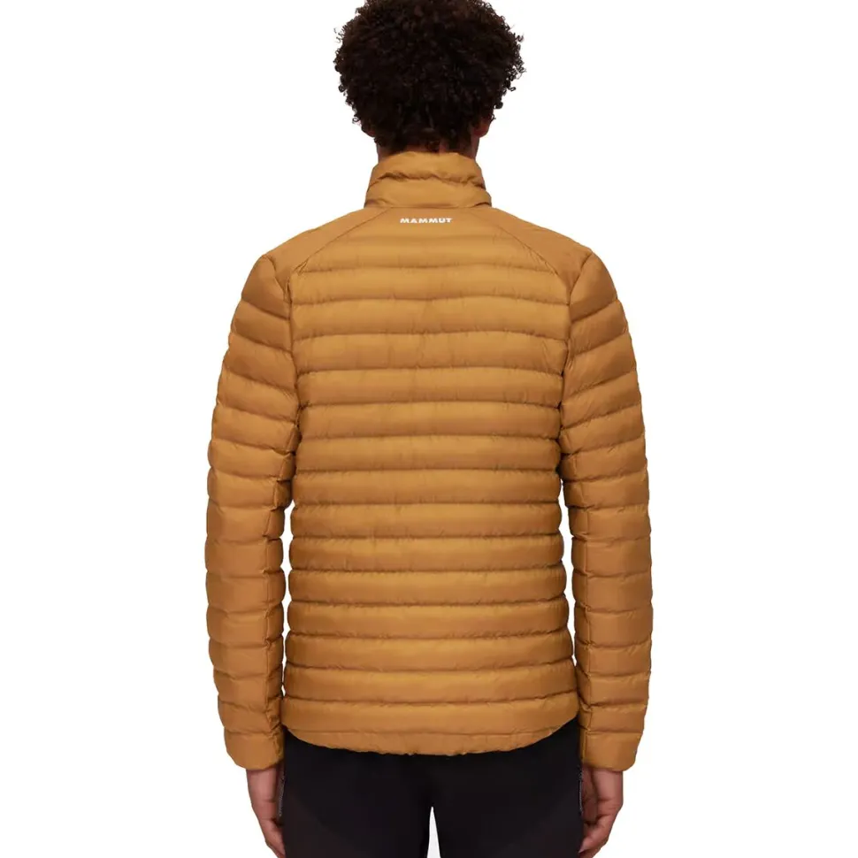 Albula IN Jacket - Men's
