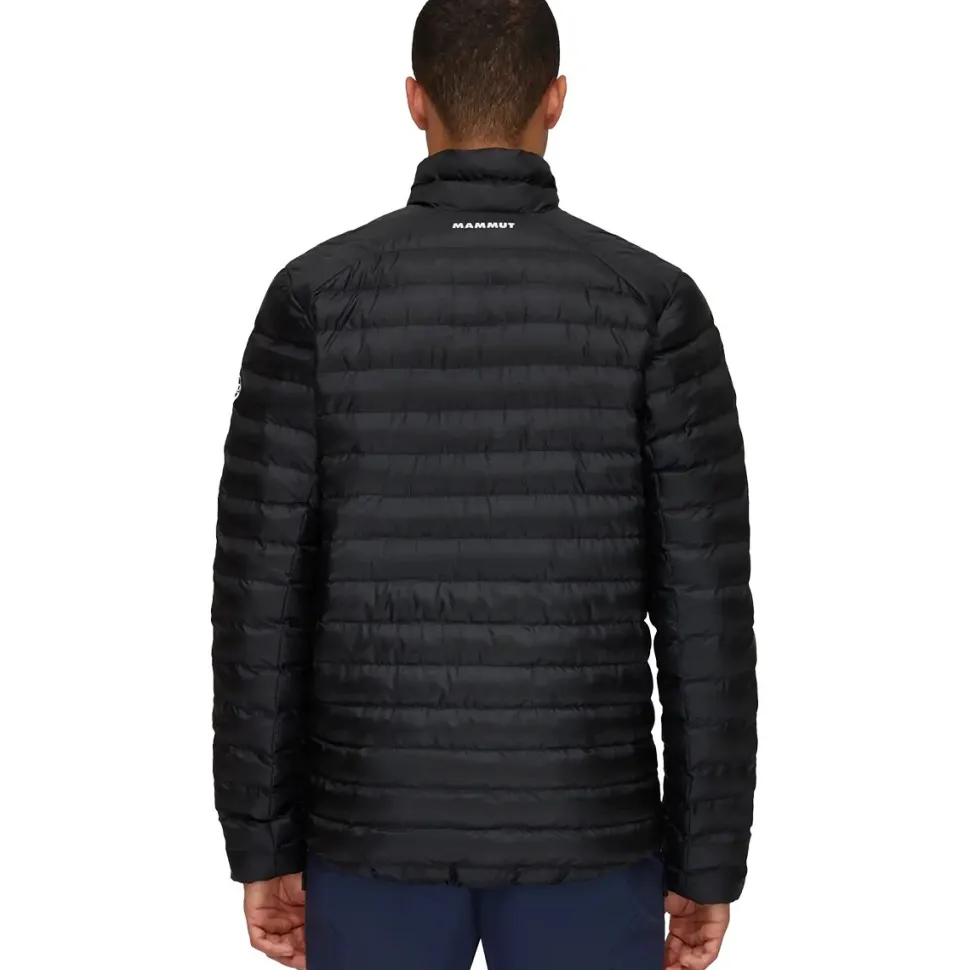 Albula IN Jacket - Men's
