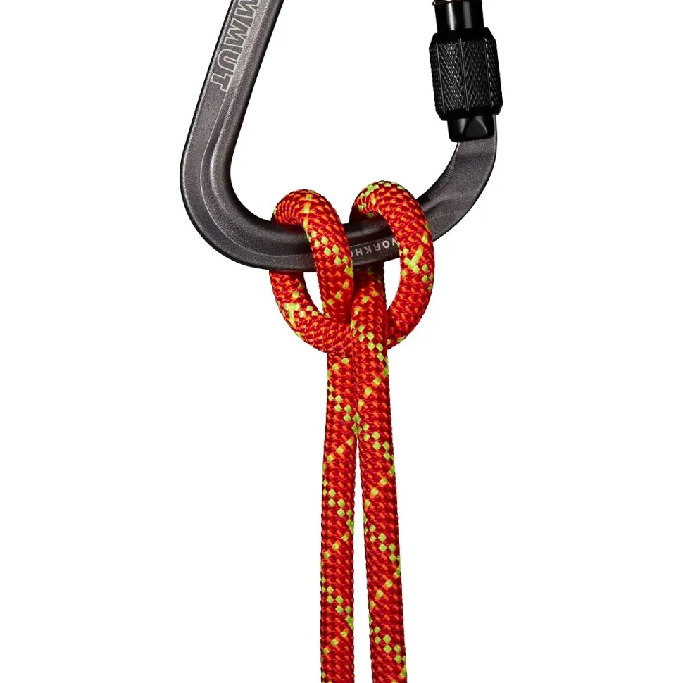 8.0 Alpine Core Protect Dry Rope