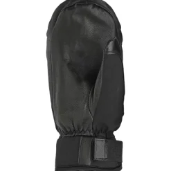 Alpine GORE-TEX Short Mitten