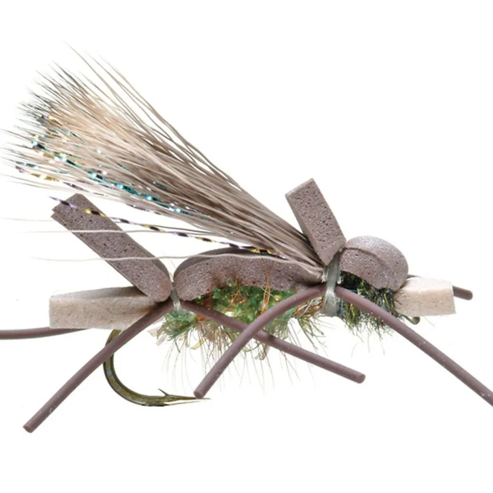 Amy's Ant 12-Pack