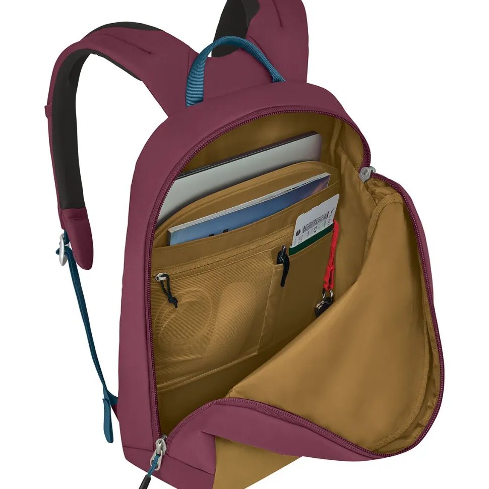Arcane 22L Roll Top Pack