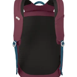 Arcane 22L Roll Top Pack