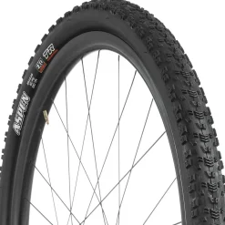 Aspen Dual Compound/EXO/TR 29in Tire