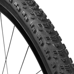 Aspen Dual Compound/EXO/TR 29in Tire