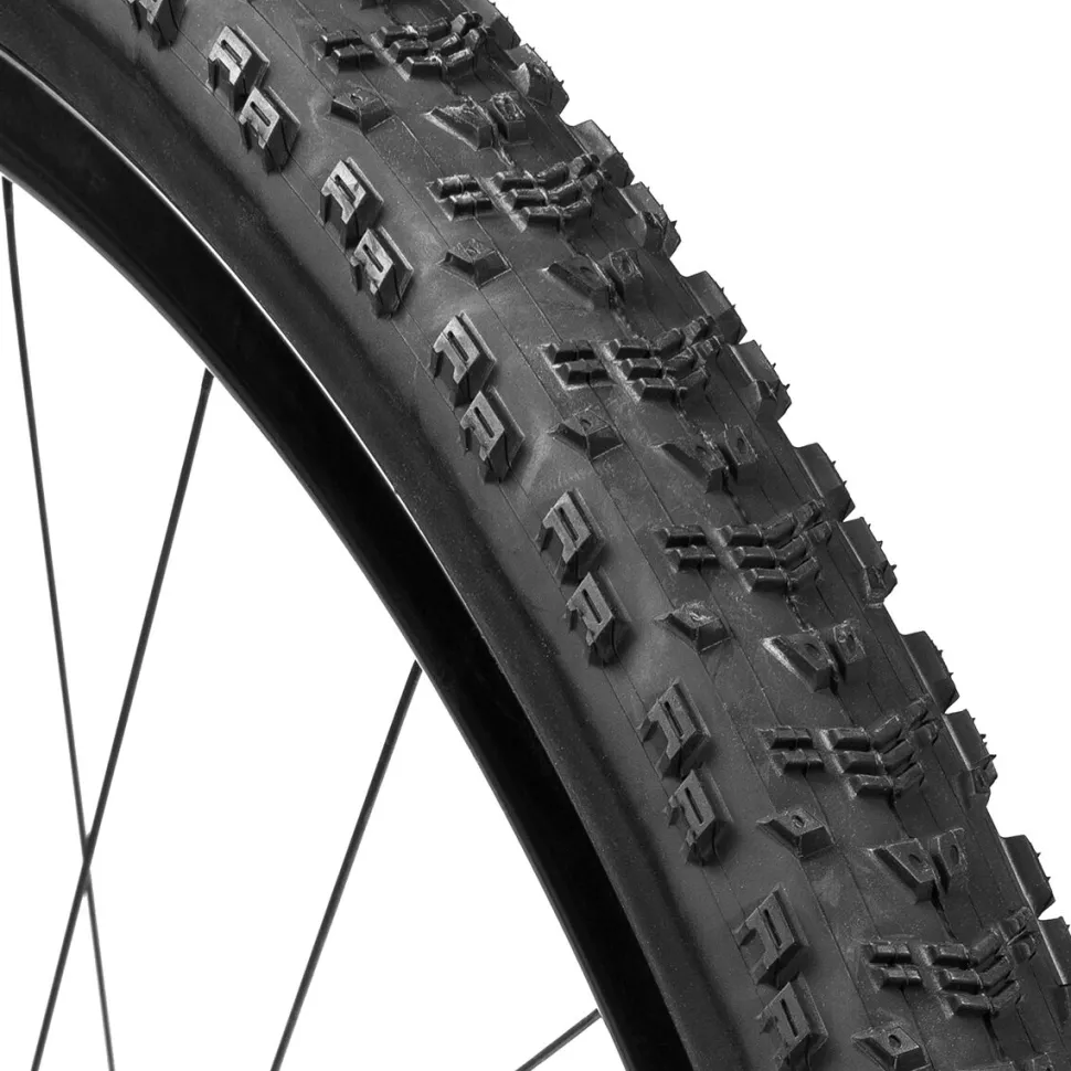 Aspen Dual Compound/EXO/TR 29in Tire