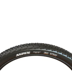 Aspen Wide Trail MaxxSpeed/EXO/TR 29in Tire