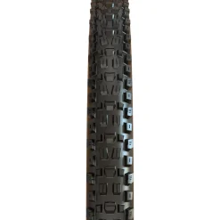Assegai 3CT/DH/Wide-Trail E-50/TR 29in Tire