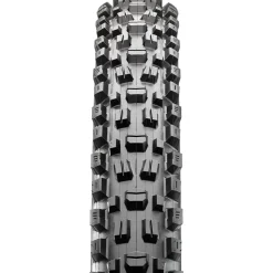 Assegai Wide Trail 3C/EXO+/TR 29in Tire