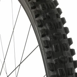 Assegai Wide Trail 3C/TR 29in Tire