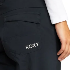 Backyard Insulated Snow Pant - Women's
