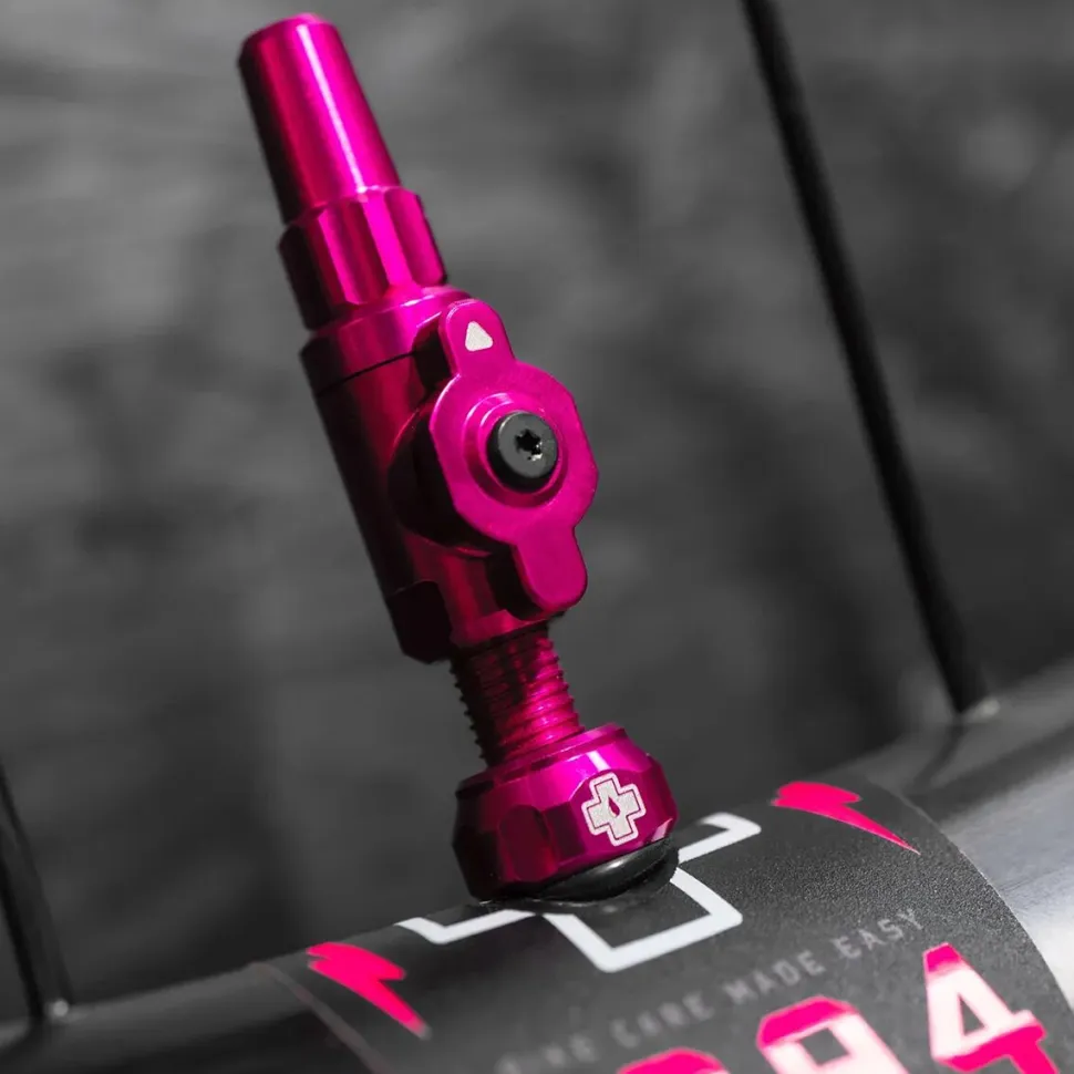 Big Bore Tubeless Valves - Lite