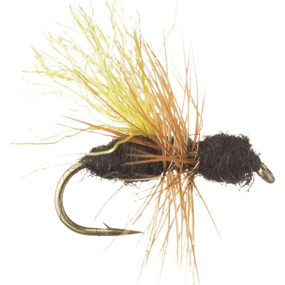 Black Flying Ant - 12-Pack