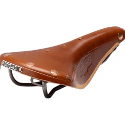 B17 Special Titanium Saddle