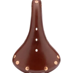 B17 Special Titanium Saddle