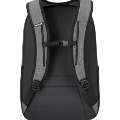 Campus 33L Backpack