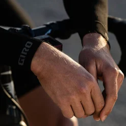 Chrono Arm Warmers