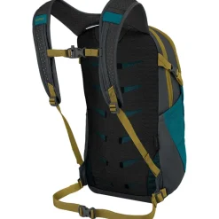 Daylite 13L Backpack