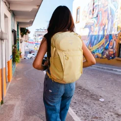 Daylite Plus 20L Backpack