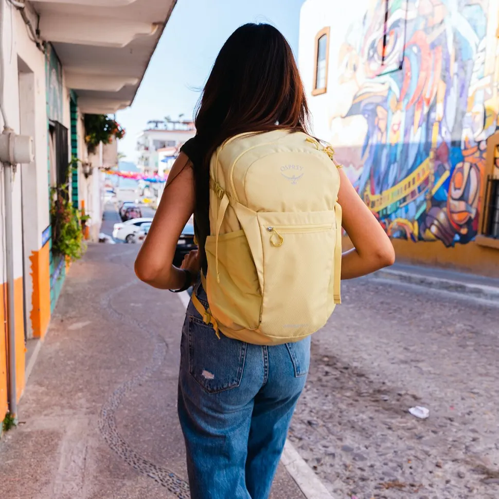 Daylite Plus 20L Backpack