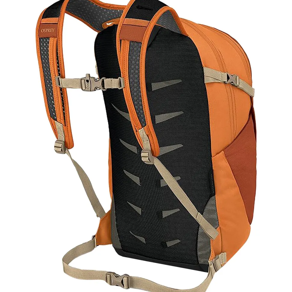 Daylite Plus 20L Backpack