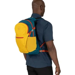 Daylite Plus 20L Backpack