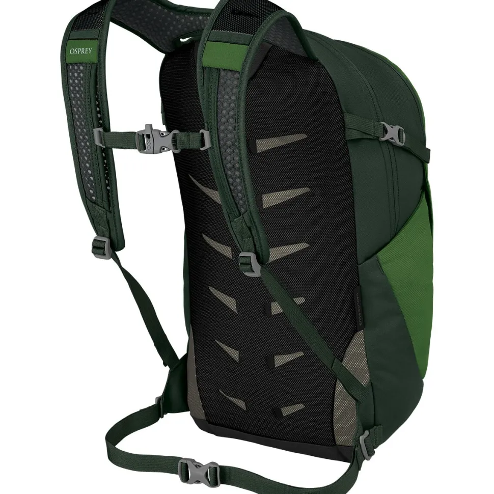 Daylite Plus 20L Backpack