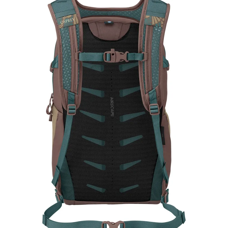 Daylite Plus 20L Backpack