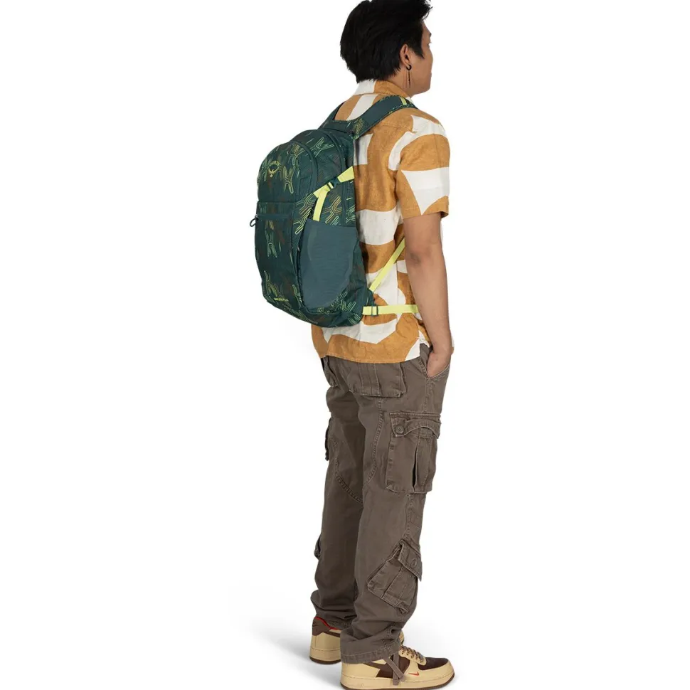 Daylite Plus 20L Backpack