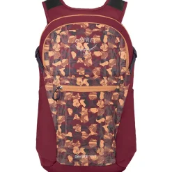 Daylite Plus 20L Backpack