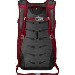 Daylite Plus 20L Backpack