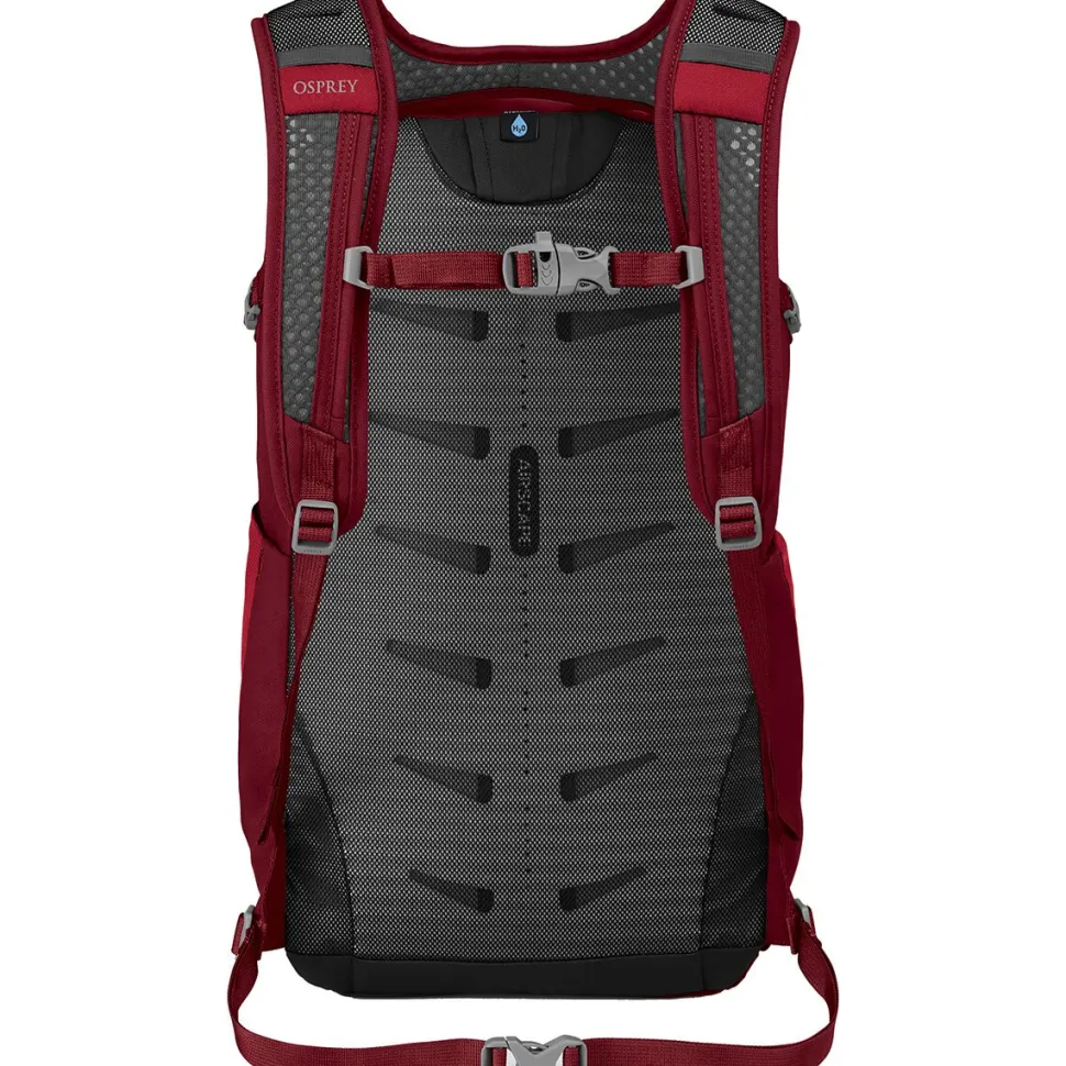 Daylite Plus 20L Backpack