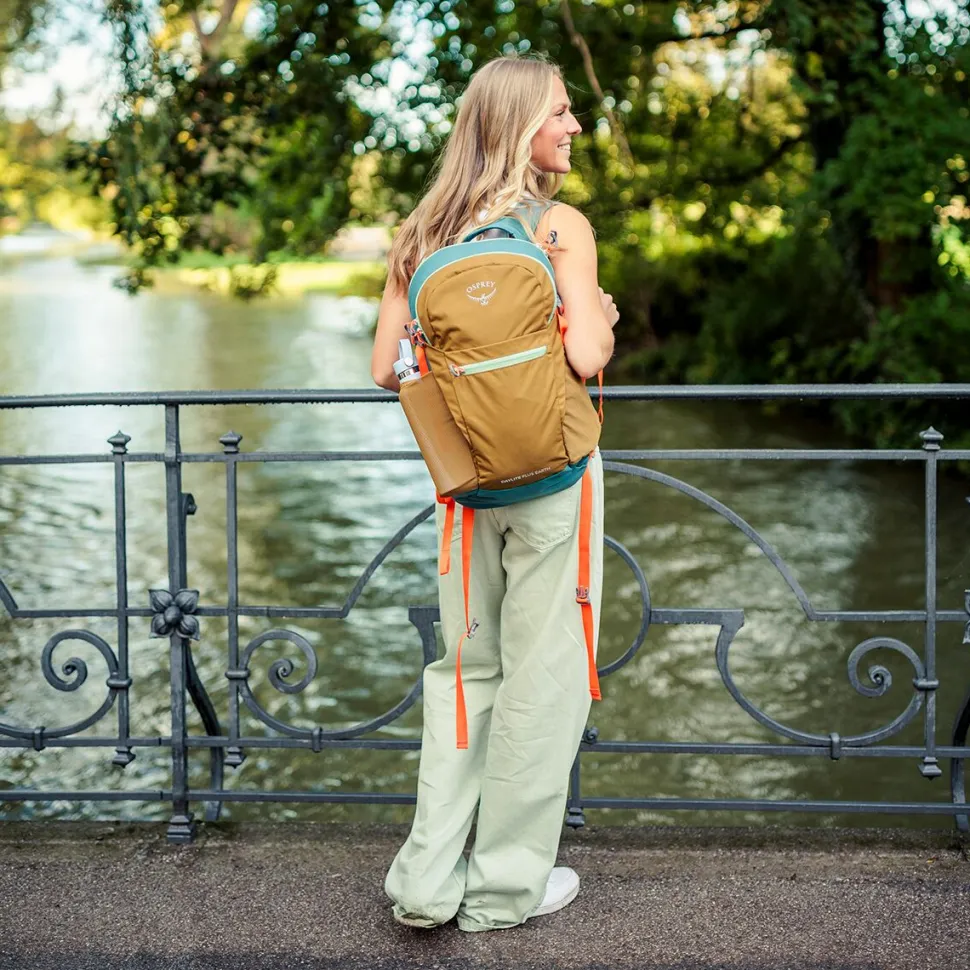 Daylite Plus 20L Backpack