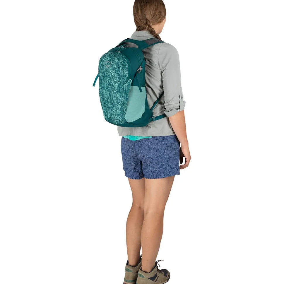 Daylite Plus 20L Backpack