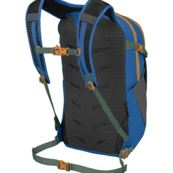 Daylite Plus 20L Backpack