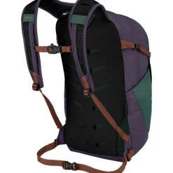 Daylite Plus 20L Backpack