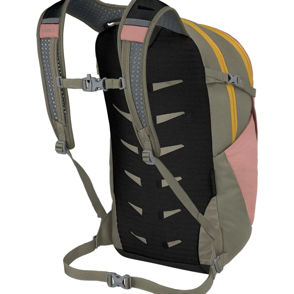 Daylite Plus 20L Backpack