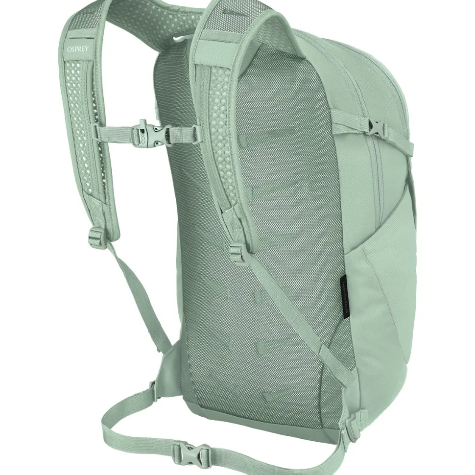 Daylite Plus 20L Backpack